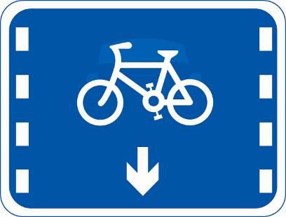 50,   a,非机动车车道 b,禁止自行车通行车道 c,自行车专用车道 d